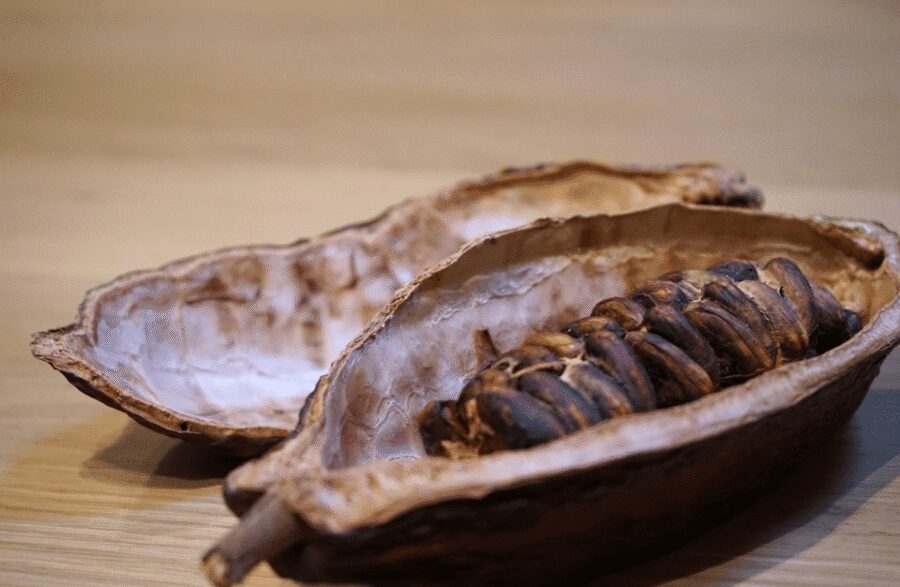 The Turin Chocolate Tasting Experience - Who should book this Turin chocolate tasting (and who should skip)