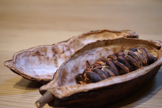 The Turin Chocolate Tasting Experience - The workshop-style chocolate lesson: organic, bean-to-bar, and process focused