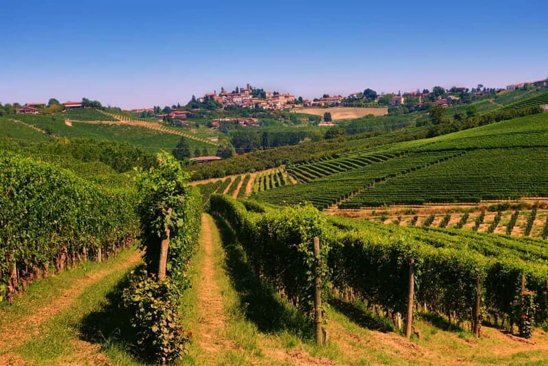 Turin: Langhe Wine Tour with Private Transfers and Lunch - Lunch in a restaurant: classic Piedmont comfort food that keeps the day on track
